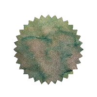 Robert Oster Ink - Avocado 50ml