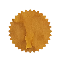 Robert Oster Ink - African Gold 50ml