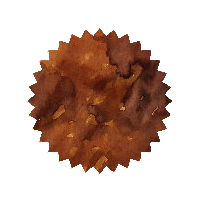 Robert Oster Ink - Aussie Brown 50ml