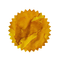 Robert Oster Ink - Aussie Gold 50ml