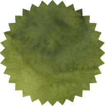 Robert Oster Ink - Australis Tea 50ml