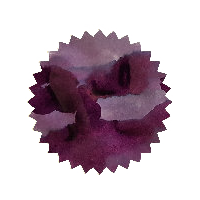 Robert Oster Ink - Barossa Grape 50ml