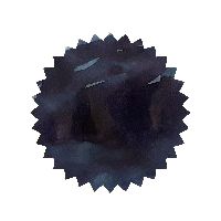 Robert Oster Ink - Blue Black 50ml