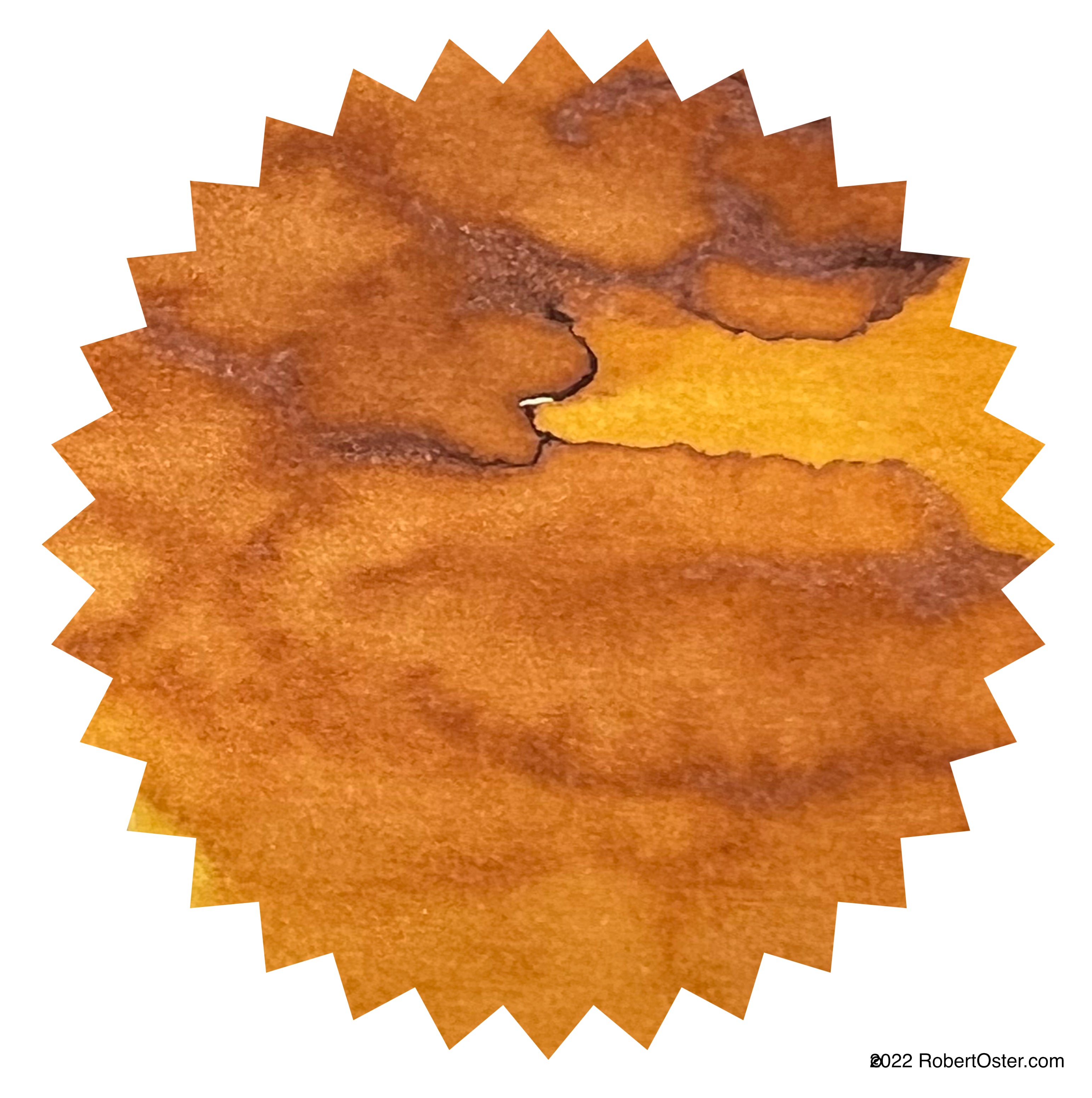 Robert Oster Ink - Brandy 50ml