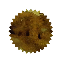 Robert Oster Ink - Bronze 50ml