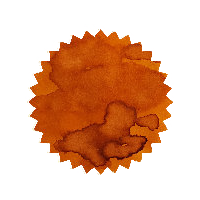 Robert Oster Ink - Burned Orange 50ml