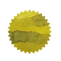 Robert Oster Ink - Chartreuse 50ml