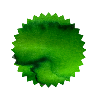 Robert Oster Ink - Citrus 50ml