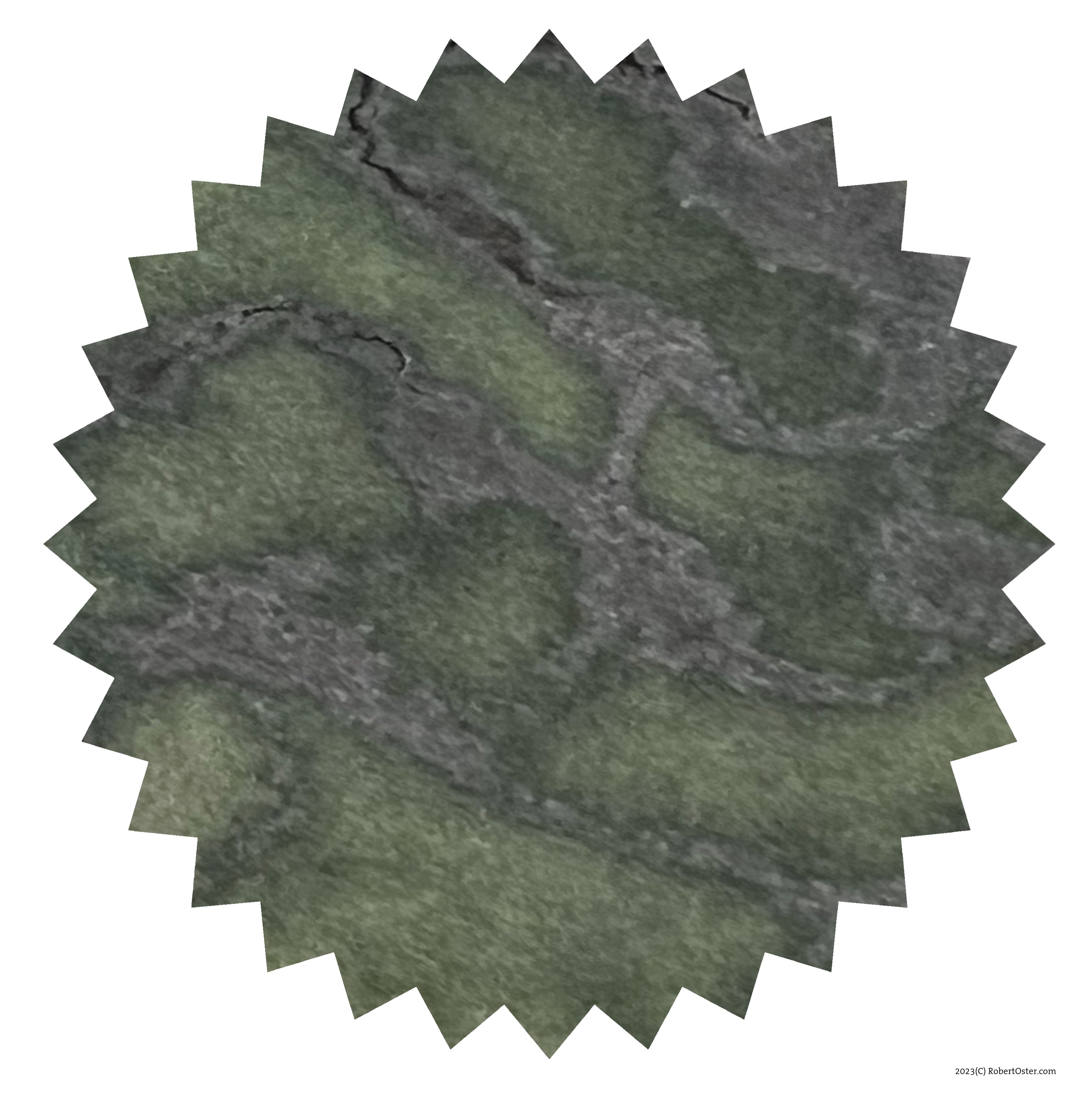 Robert Oster Ink - Detox 50ml