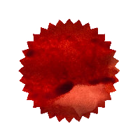 Robert Oster Ink - Direct Sun 50ml