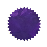 Robert Oster Ink - Dragon's Night 50ml