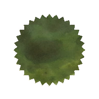 Robert Oster Ink - Eucalyptus Leaf 50ml