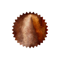 Robert Oster Ink- Glistening Orange Rumble 50ml