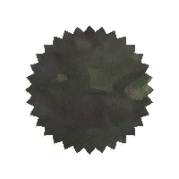 Robert Oster Ink - Graphite 50ml