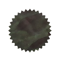 Robert Oster Ink - Grün-Schwarz 50ml