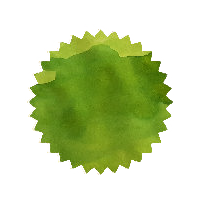 Robert Oster Ink - Jade 50ml