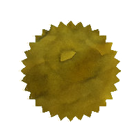 Robert Oster Ink - Khakhi 50ml