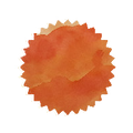 Robert Oster Ink - Tangerine 50ml