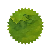 Robert Oster Ink - Verde de Rio 50ml