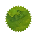 Robert Oster Ink - Verde de Rio 50ml