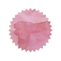 Robert Oster Ink - Cherry Blossom 50ml